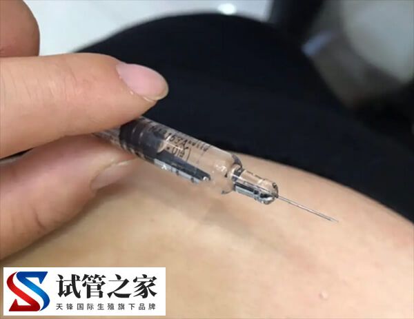 促排超长方案失败后怎么办(图1)
