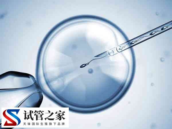 促排超长方案失败后怎么办(图2)