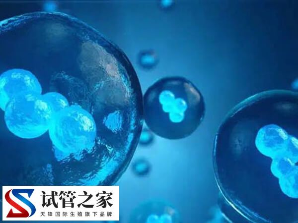 囊胚4ab和4bb哪个更好着床