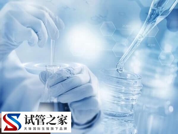 取卵前后的注意事项汇总，可不可以同房一看便知(图1)