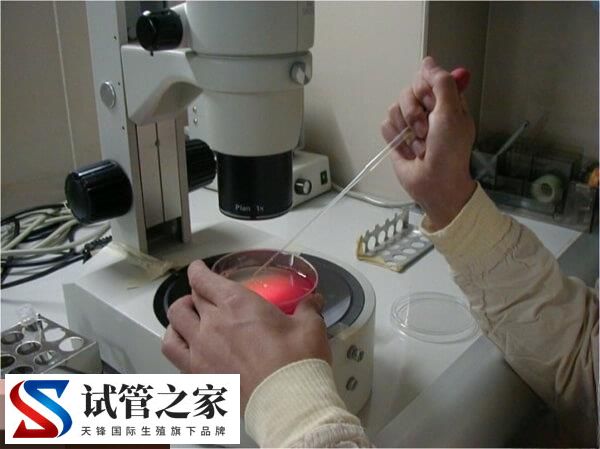 试管婴儿能否一次移植成功说不准，得从年龄等3方面判断(图1)