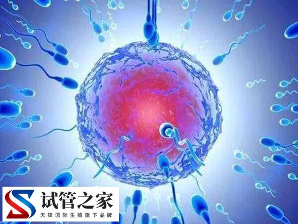 41岁囊胚植入失败4次要清宫