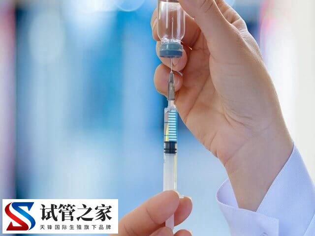 卵泡没排能不能移植冻胚(图2)
