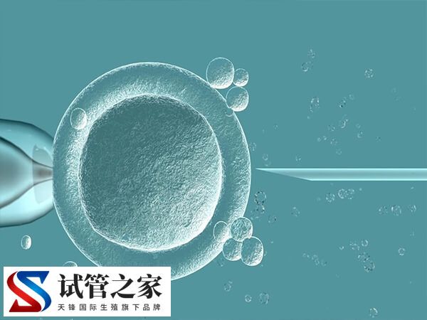 胚胎移植失败后需要注意什么(图2)