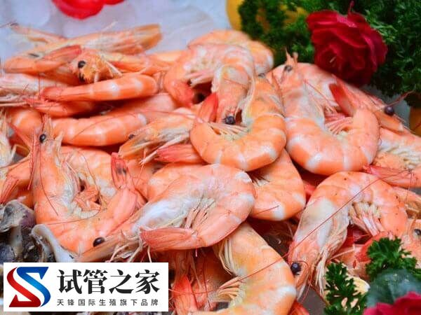 试管移植后吃啥有助胚胎着床(图2)
