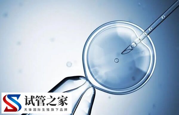 试管婴儿胚胎移植成功率多少