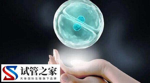 试管婴儿胚胎移植成功率多少(图2)
