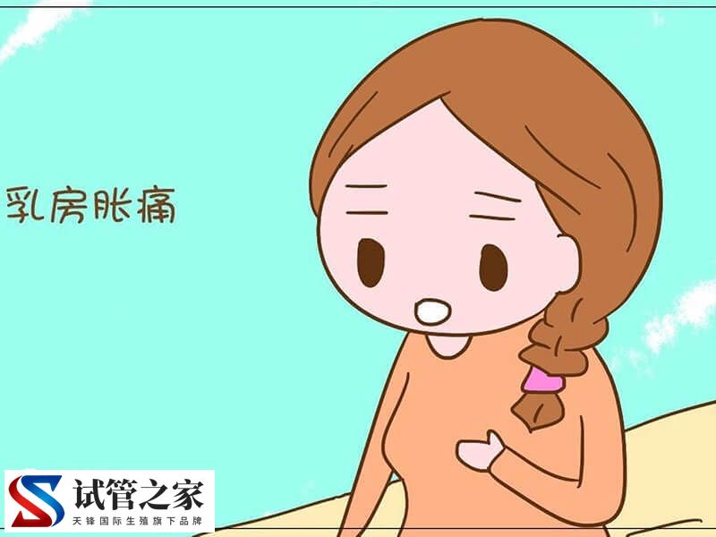 胚胎移植后着床会有什么感觉(图1)