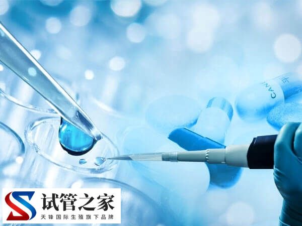试管不着床与生化哪个更可怕