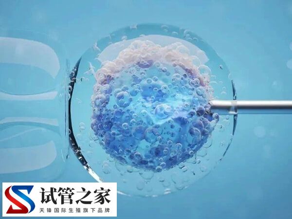 试管不着床与生化哪个更可怕(图2)
