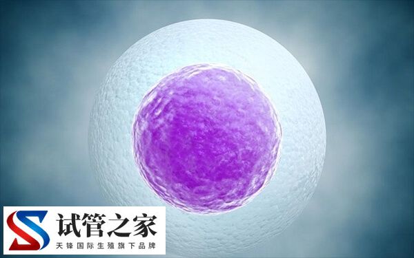 第三代试管婴儿移植6bc囊胚成功率多大