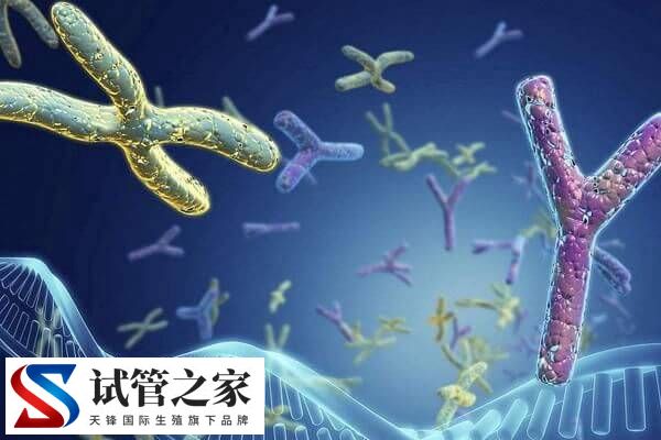 第三代试管婴儿PGT诊断可以排除蚕豆病吗？(图1)