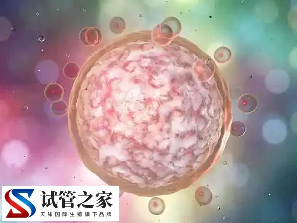 试管移植前lh多少是正常(图1)