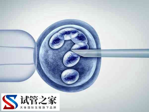 2025年试管婴儿费用大约多少