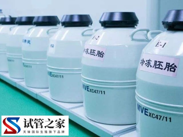 6年没交胚胎费用会怎样(图1)