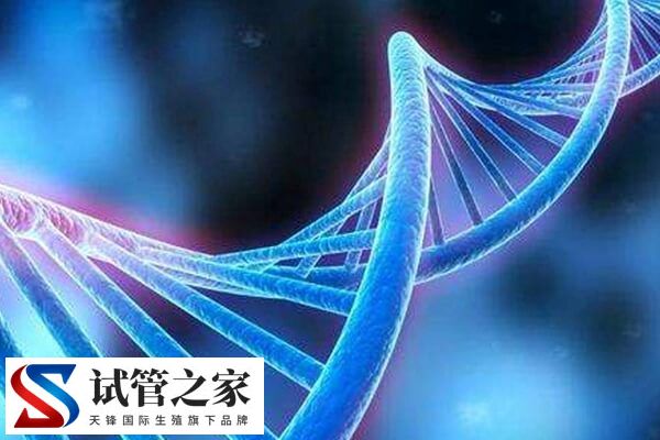6号染色体三体严不严重(图1)