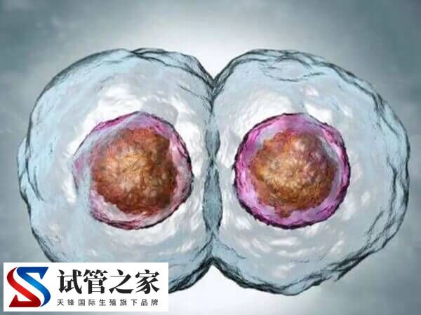 60岁试管婴儿成功案例是哪个医院做的(图1)