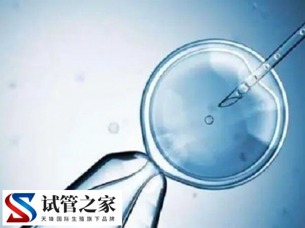 60岁试管婴儿成功案例有哪些(图1)
