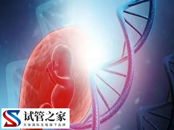 60岁试管婴儿成功案例有哪些(图2)