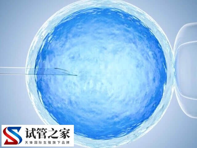 赴美做试管婴儿收费多少钱(图1)