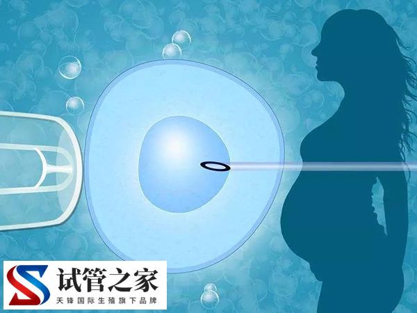 睾丸先天性发育不良镜下取精成功率多大(图1)
