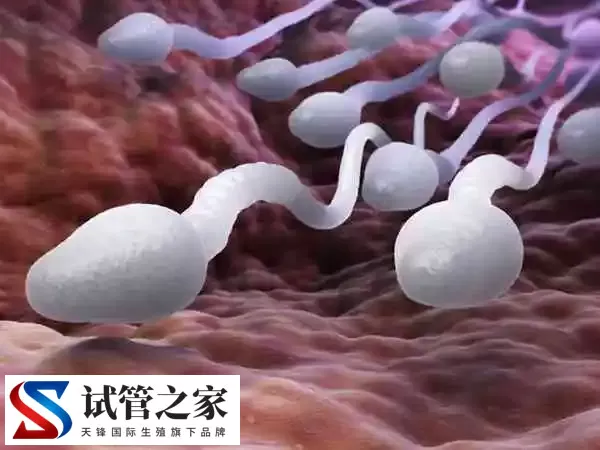 男人性功能障碍取精会怎么样(图2)