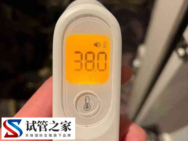 热敷腹部会不会烫死精子和卵子(图1)