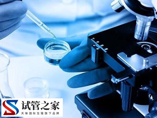 XY精子分离术的好处与危害是什么(图1)