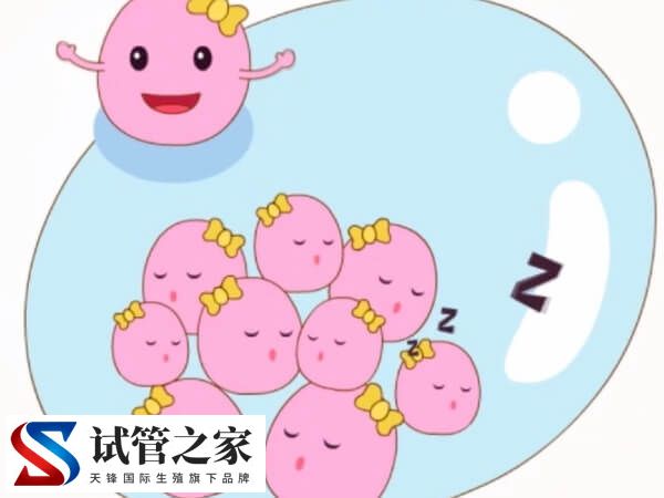6cc囊胚还有没有必要移植(图2)