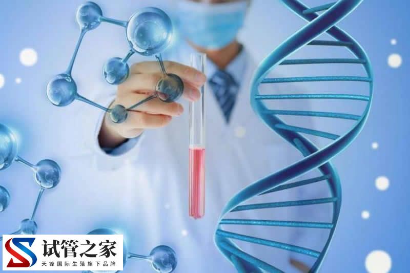 优生基因筛查