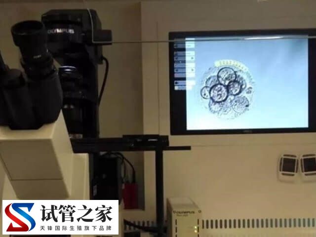 什么情况下囊胚需要辅助孵化(图1)