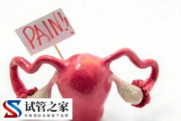 过量使用乐芮有哪些副作用(图3)
