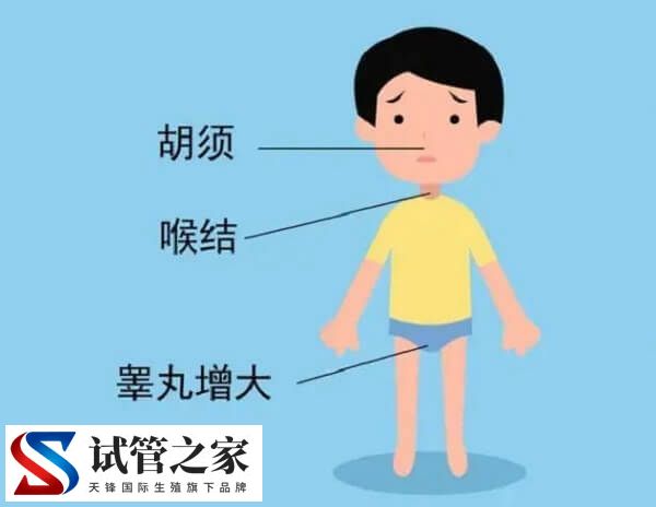 注射绒促性素有哪些不良反应(图2)