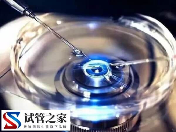养囊成功的是不是都是优质胚胎(图1)