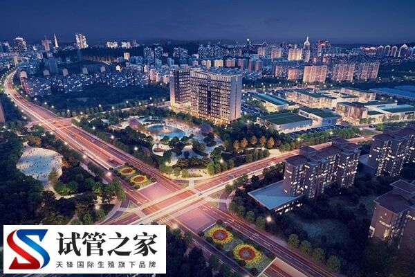 恩施试管婴儿医院哪家好？恩施中心医院怎么样？(图1)
