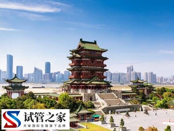 南昌私立生殖医院做试管婴儿多少钱(图1)
