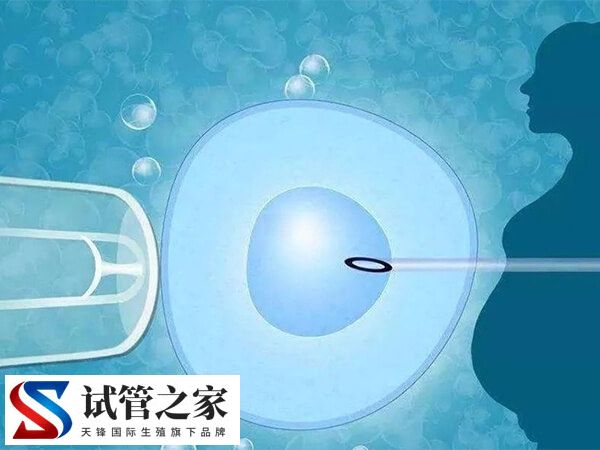 试管移植后受到惊吓影不影响着床(图1)