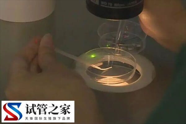 做试管婴儿是不是很受罪(图1)