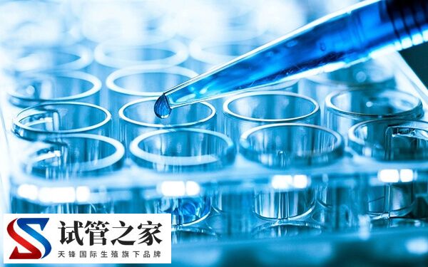 为什么跳绳有助于移植成功(图2)