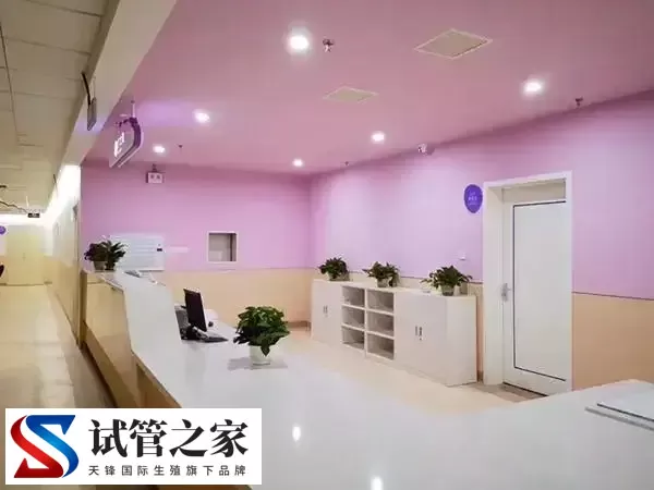 吃贝几西能不能养卵泡