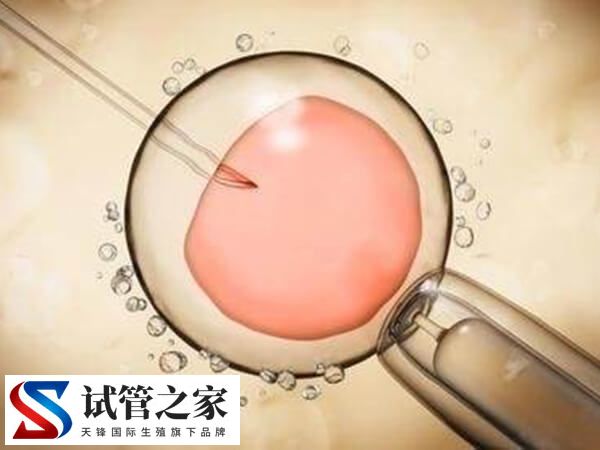 高龄做三代供卵试管成功率有多少
