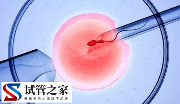 试管什么人需要打降调(图2)