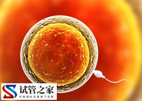 女性不孕是不是排卵障碍导致的(图1)