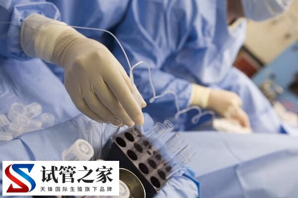 女性不孕是不是排卵障碍导致的(图3)