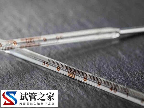 鲜胚移植第九天身体热正不正常