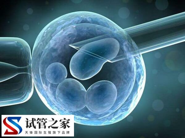 更年期还能不能做试管婴儿(图1)