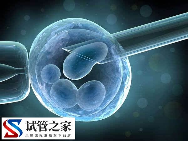 试管移植前做ERA和ERT有什么不同(图1) 试管移植前做ERA和ERT有什么不同(图1)