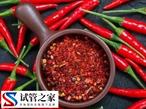 做试管移植后吃绿豆好不好(图2) 做试管移植后吃绿豆好不好(图2)