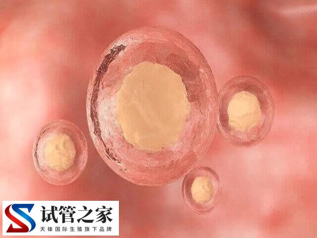 试管促排卵子只有2个怎么办(图1)
