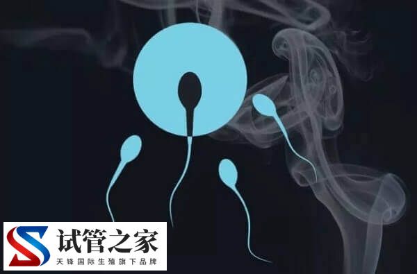 备孕期间怎么检查精dna碎片率(图2)